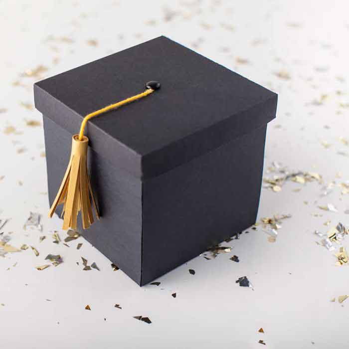 Cricut Dads and Grads Mystery Box 2019