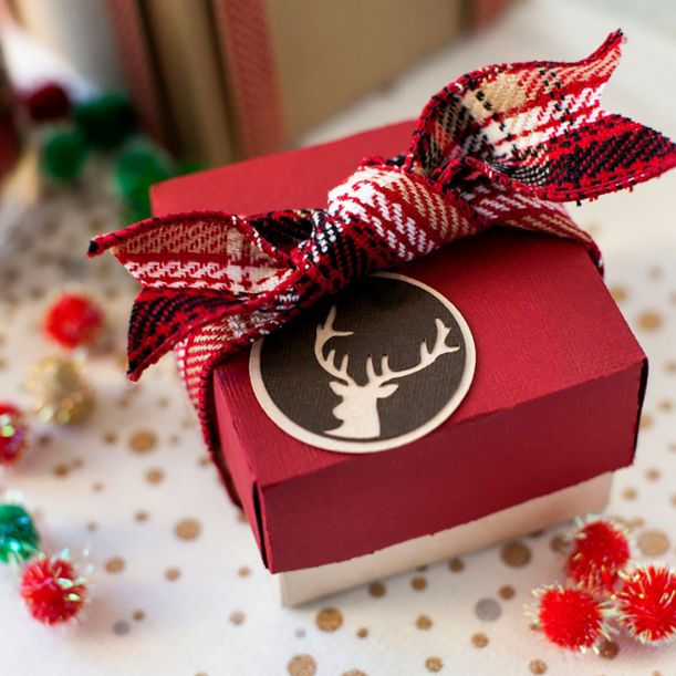 Holiday Cricut Mystery Box: What's Inside?
