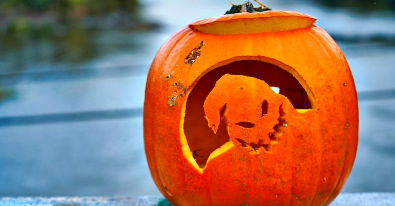 How to Convert an SVG file into a Pumpkin Carving Template